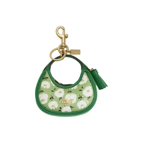 COACH CARMEN Покрытый холст телячья кожа украшение кошелек мини женский зеленый