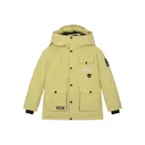 Циан Оливковый