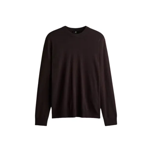 H&M Темно-коричневые мужские свитеры