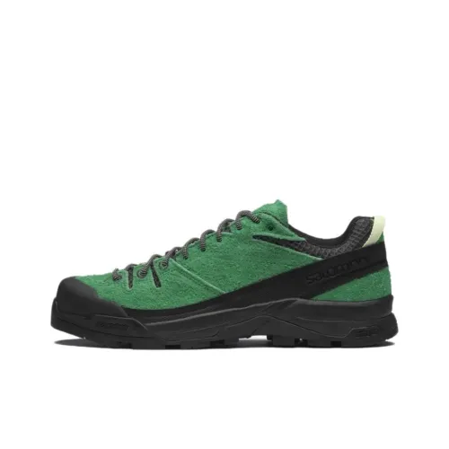 SALOMON X Alp Беговые кроссовки Унисекс Черный Зеленый