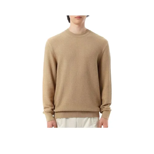 Hugo Boss Коричневый Мужской Трикотаж