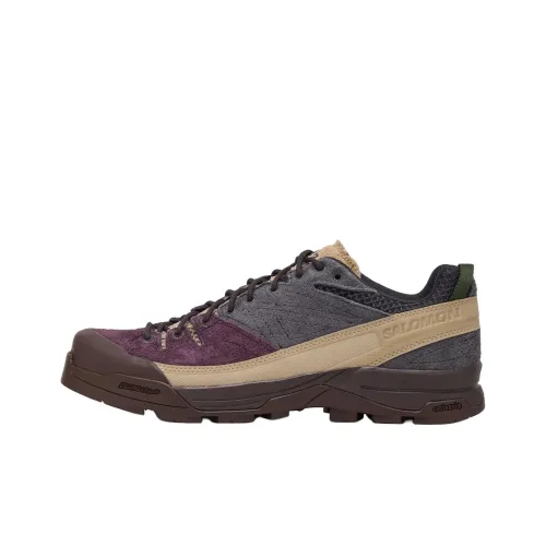 SALOMON X Alp Low Топ Походная обувь Мужская Сливовый Красный