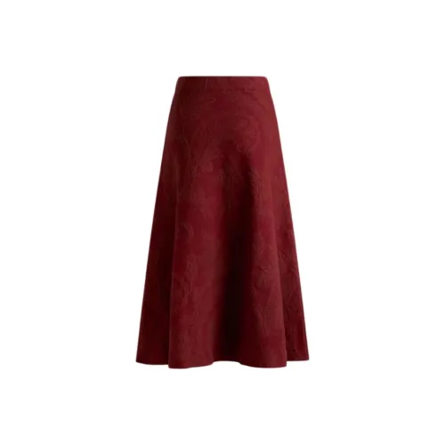 ETRO FW25 Повседневный Длинный Юбка Женские