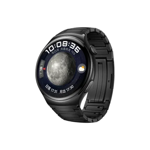 Watchbond Ремешок Huawei Совместимость Титан Материал