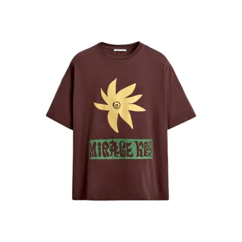 ZARA Шоколад Мужские T-рубашки