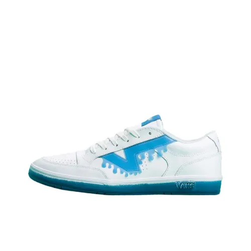 Vans Lowland CC Скейтборд Кроссовки Мужские Белый Синий