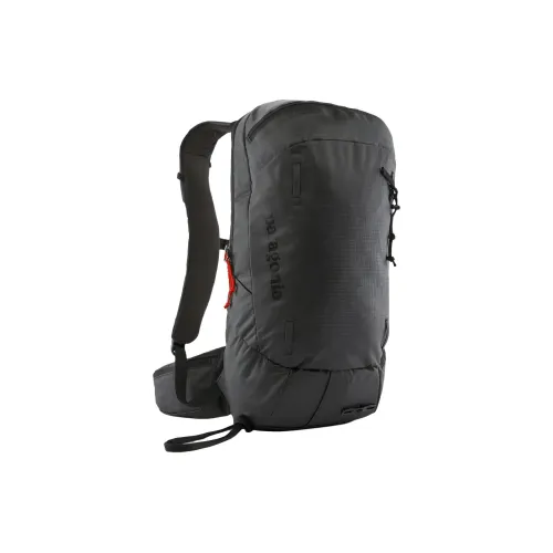 Patagonia Snowdrifter 20L Туристические сумки Nylon Черный Унисекс