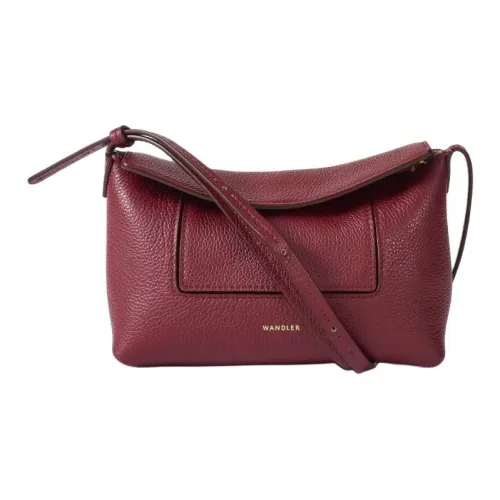 Wandler Кожа Сумка через плечо Мини Женская Бордовый