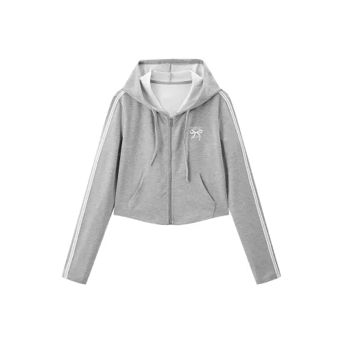 LEDIN Silver Candle Gray Women's Sweatshirts