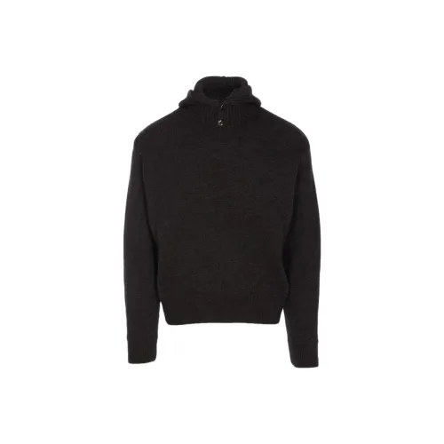 Lemaire Коричневые Мужские Свитера