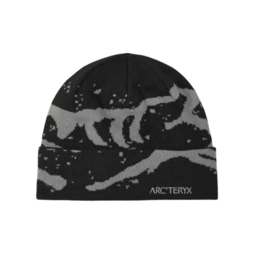 Arcteryx Переработанная полиэстеровая пряжа Шапки-бини Мужской Черный