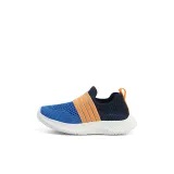 H677 Поланквиллин