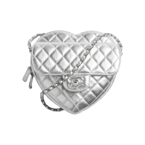 CHANEL Кожа Сумка через плечо Стандартная Женская Серебряный