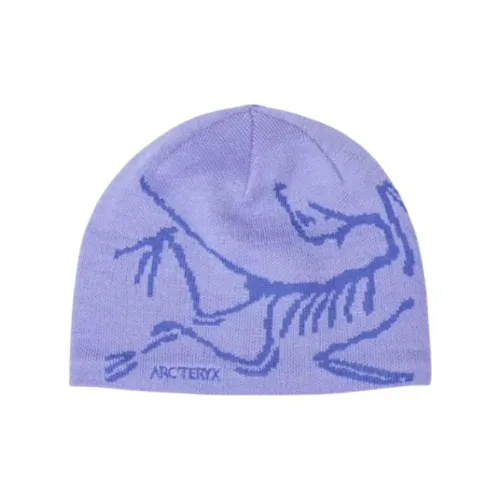 Arcteryx Шапки-бини Unisex Light Purple