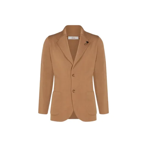 LARDINI Коричневый Мужской Трикотаж