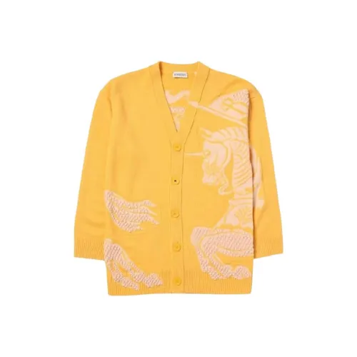 Burberry Оранжевый Белый Детские Свитера