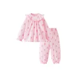 Красный цвет 00366