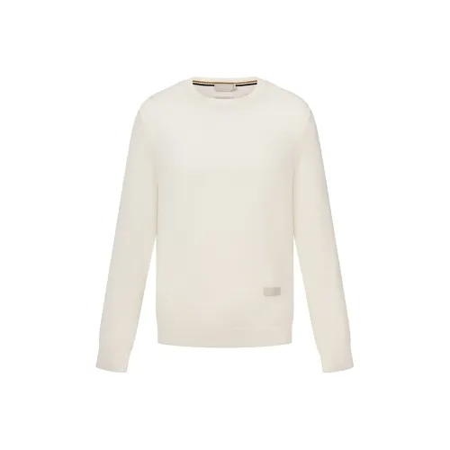 RARE Белый Мужской Свитеры