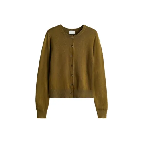 H&M Оливково-зеленый Женский Трикотаж