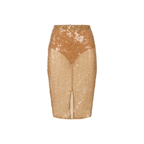 Elisabetta Franchi Повседневный Длинный Юбка Женские