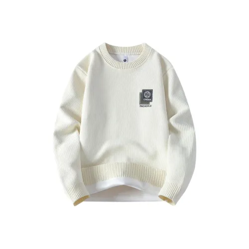 BAISHENGHU Мужские Свитшоты