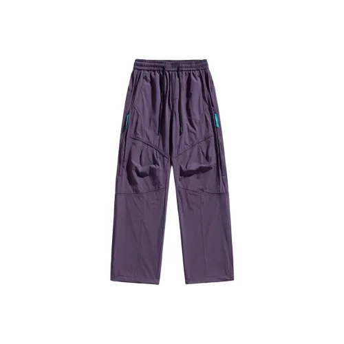 ALPINE PRO Весенний Осенний ALPINE PRO Повседневные Штаны Мужские