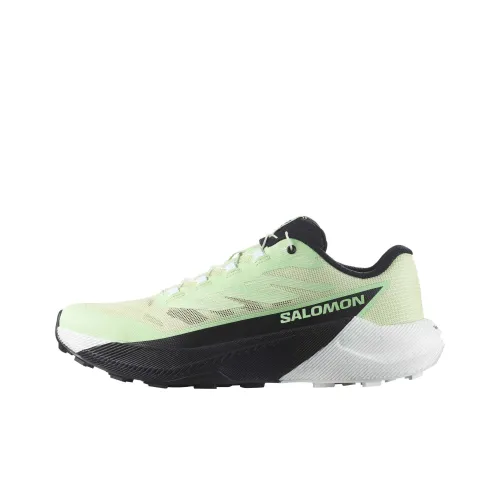 SALOMON Амортизация Покрытие Отскок Повседневный Трейл Бег Обувь Женская