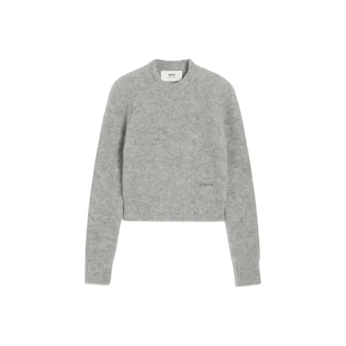 AMIPARIS Серые Женские Свитера