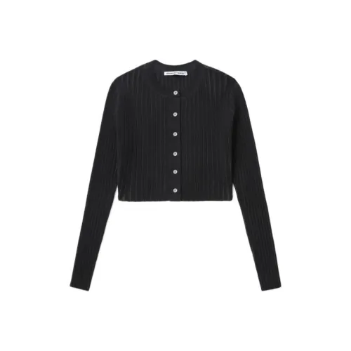 Alexander Wang Трикотаж Женский