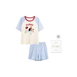 Синий Белый Сетка