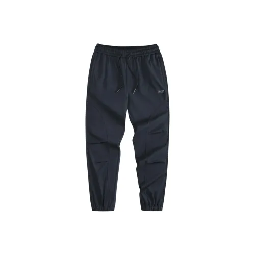 FAIRWHALE Темно-синий 102 Мужские Повседневные Штаны