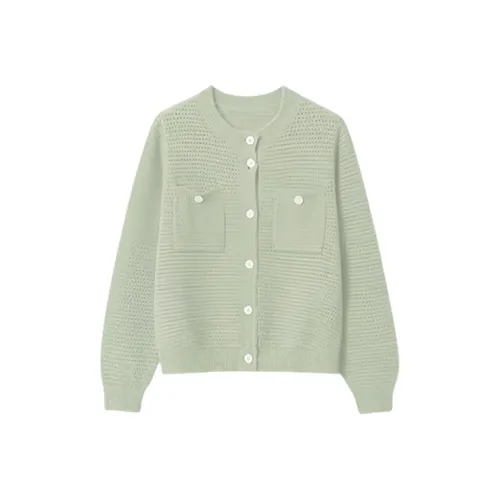 ABBY GODDESS Осенний Трикотаж Женский