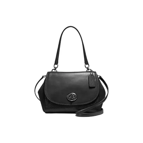 COACH Телячья кожа кожа замша сумка через плечо сумка через плечо средний размер женский черный