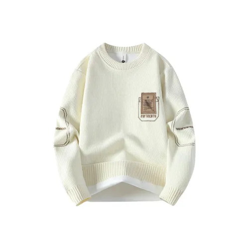 BAISHENGHU Мужские Свитшоты