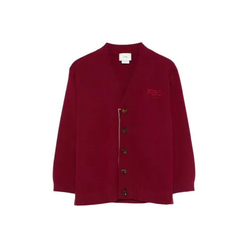 FENDI Красный KIDS Свитера