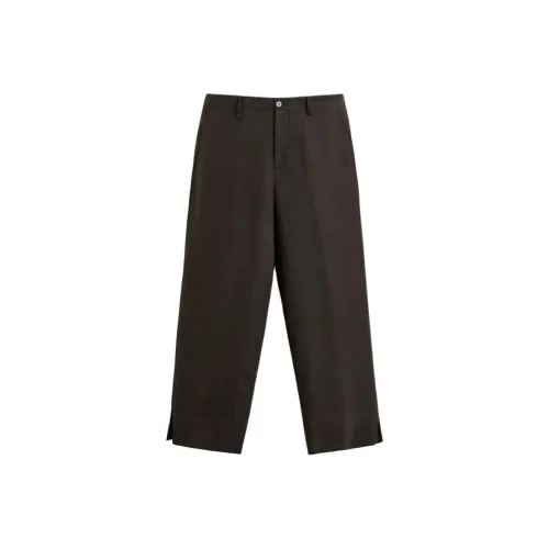 ZARA Коричневый Мужской Повседневный Брюки