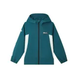 Тёмный чернила зелёный