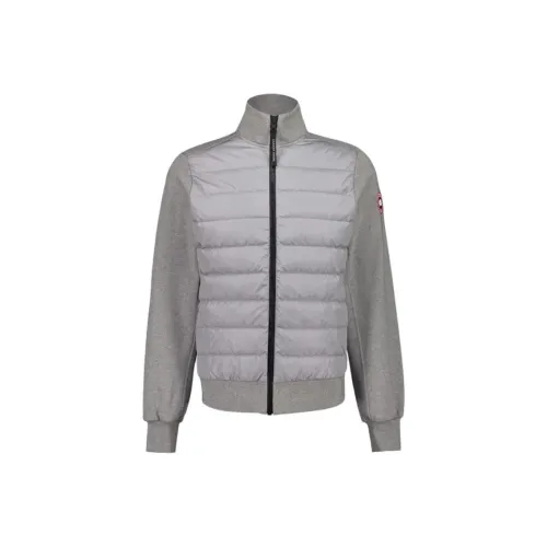 Серия Canada Goose HyBridge Пуховик Мужской