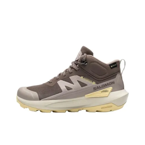 SALOMON Elixir Shock Absorbers Водонепроницаемый и дышащий Поддержка Сцепление MID Топ Походная обувь Женские Коричневый