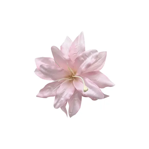 ZHENZI Пластик Заколки для волос Унисекс