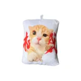 Авторитетный Котенок