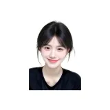 Восьмиугольный стиль [7*10 Натуральный] Нет - Заколка для волос