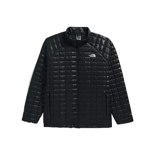 The North Face ThermoBall Пуховик Мужской