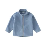 Серо-голубой