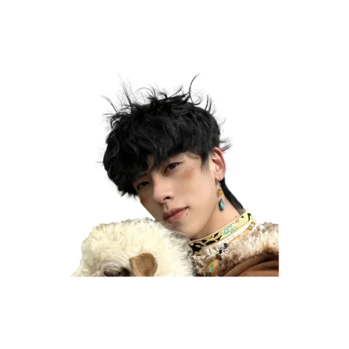 Time Shadow Leslie Roll Перука Мужской Японский стиль Фольгированный Диффузор Крышка Повседневный Симуляция Короткие волосы