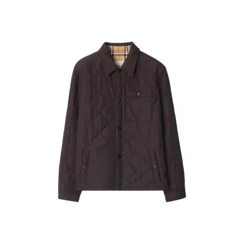 Burberry FW25 Хлопковый пуховик Мужской