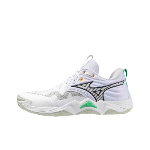 Кроссовки для волейбола Mizuno WAVE MOMENTUM ELITE Унисекс