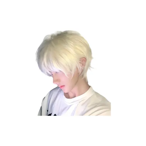 Northward Incline Короткая стрижка с микро-покрытием Strand Мужская парик Корейский стиль Белое золото Handsome Peace В одном стиле