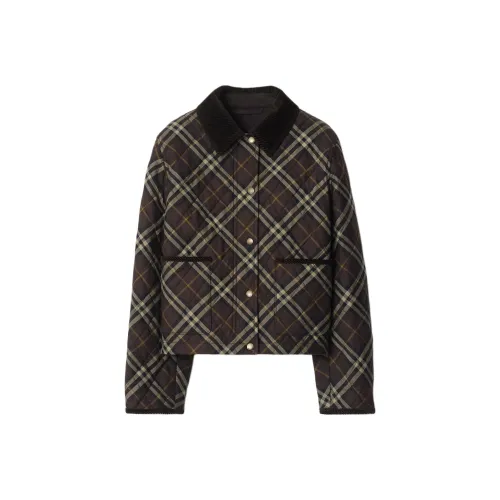 Burberry FW25 Хлопковый пуховик Женские