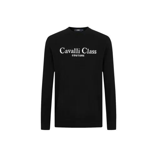 Cavalli Class Кашемировый свитер мужской
